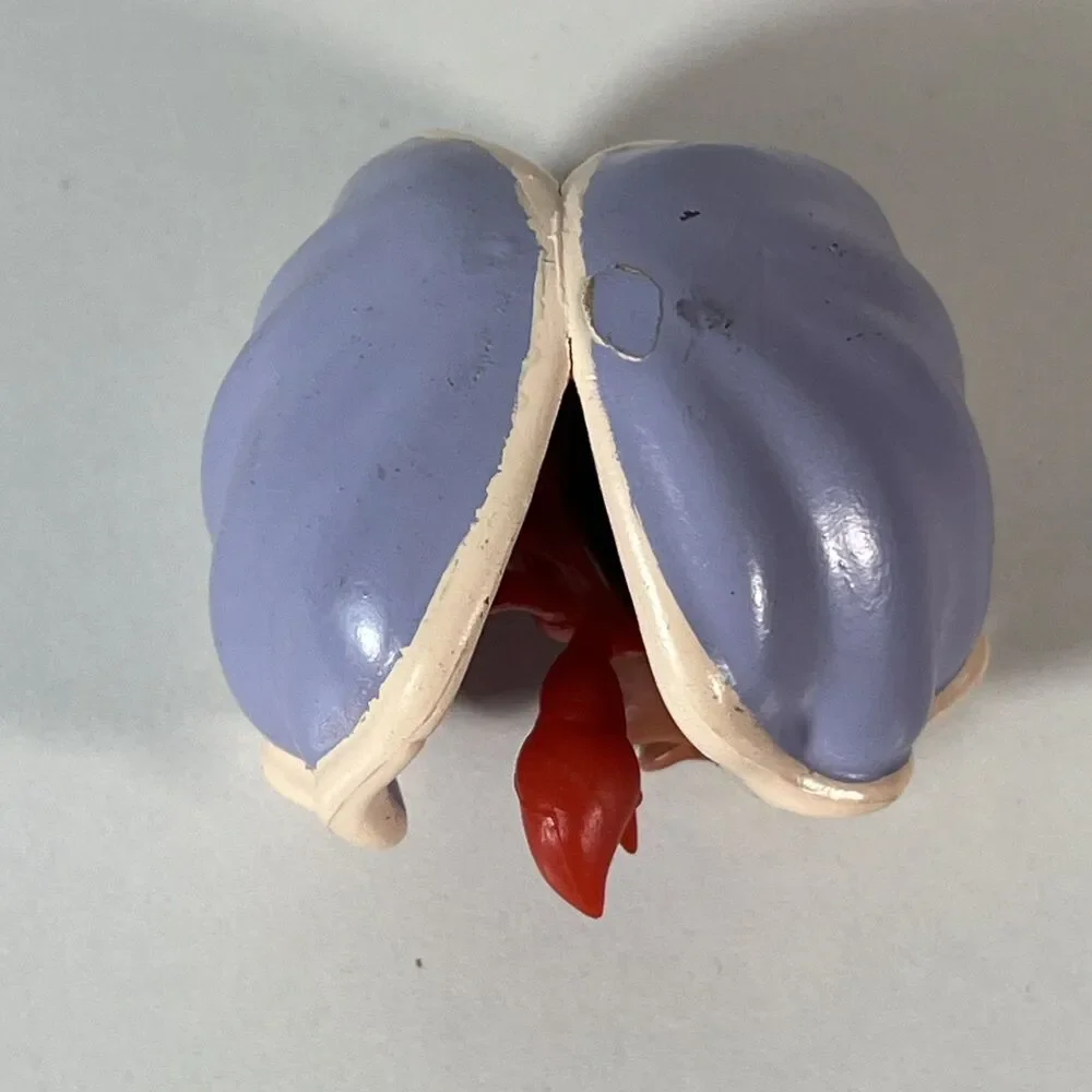 2” PVC Sebastian in Shell From Disney's Little Mermaid